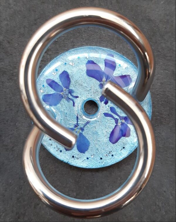 4 x Lobelie blau auf metallblau_20241127 Lobelie
