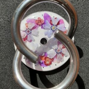Phlox