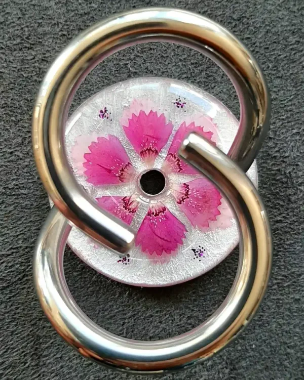 Heidenelke Blumenblätter auf metallweiss_20260902 Nelke